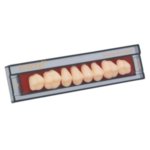 Стоматорг - Зубы Ivocryl Набор из 8 зубов A-D жеват.верх. 32 A4.           