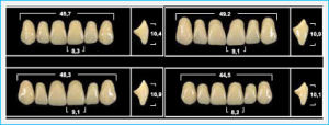 Стоматорг - Зубы Yeti A3,5 O31 фронтальный верх (Tribos) 6 шт.