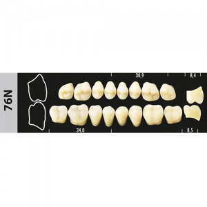Стоматорг - Зубы Major A4 76N жевательный верх, 8 шт (Super Lux).