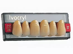 Стоматорг - Зубы Ivocryl Набор из 6 зубов Chromascop фронт. верх. 11 130.
