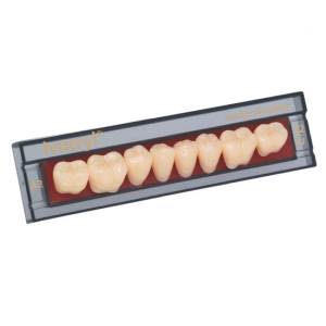 Стоматорг - Зубы Ivocryl Набор из 8 зубов A-D жеват.низ. 29 D3.           
