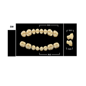 Стоматорг - Зубы Yeti A3 SM жевательный низ (Tribos) 8 шт.